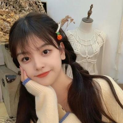 寅次郎的故事31：旅行、女伴和寅